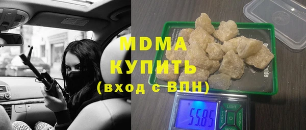 индика Каменка