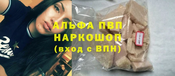 индика Каменка