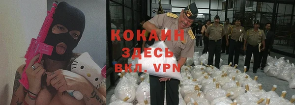 индика Каменка