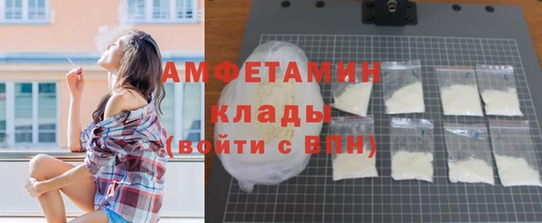 индика Каменка