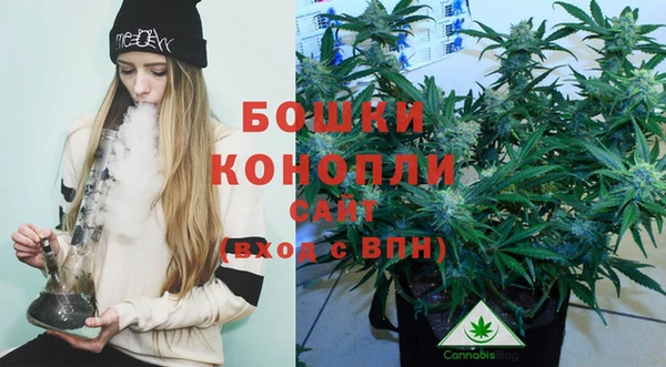 индика Каменка