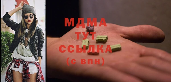 индика Каменка