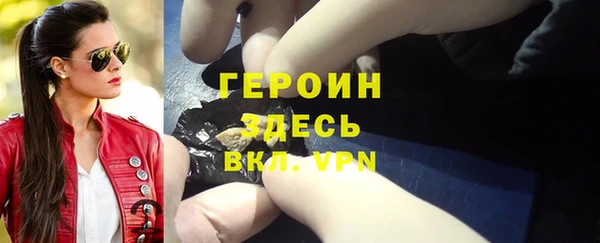 индика Каменка