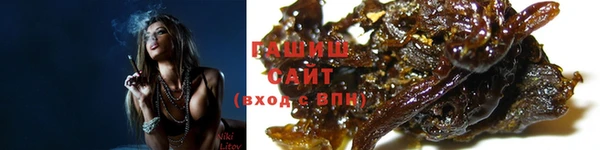 индика Каменка