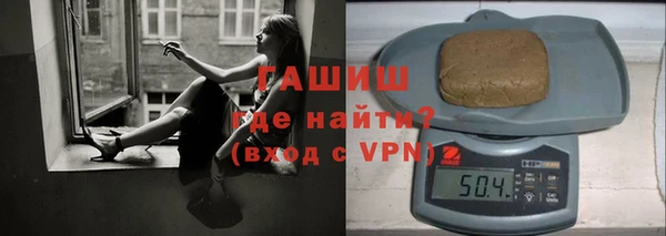 индика Каменка