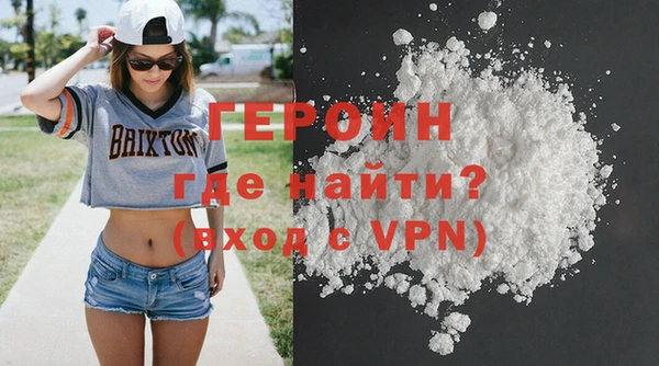индика Каменка