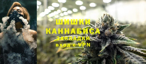 индика Каменка