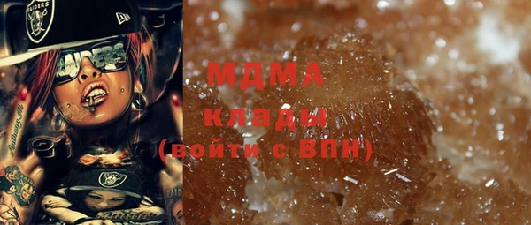 индика Каменка