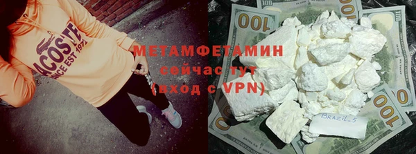 индика Каменка
